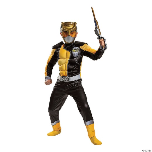 Boy S Classic Muscle Mighty Morphin Gold Ranger Costume Small