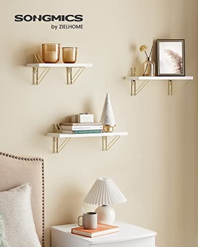 Metal Brackets Wall Shelves Set