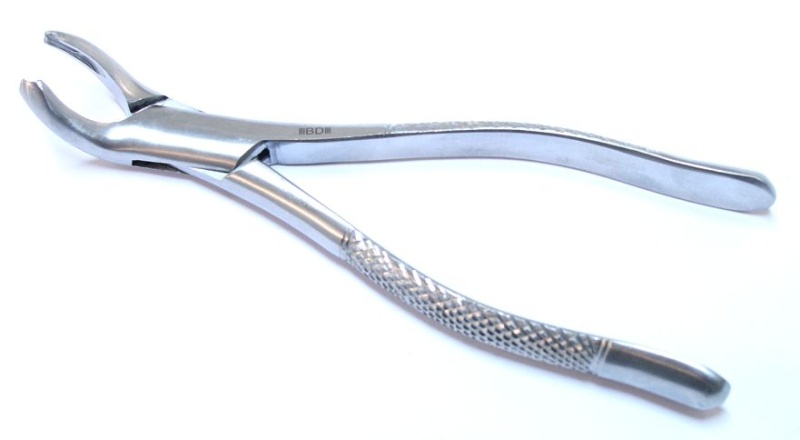 1Pc Dental Instrument Extracting Forceps 17 Stainless Steel