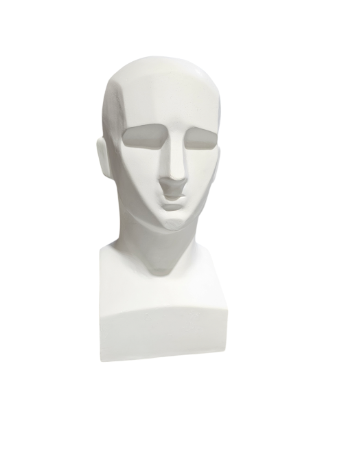 Just Sculpt Plaster Blocked Bust 17In - Premium Anatomical Reference Model