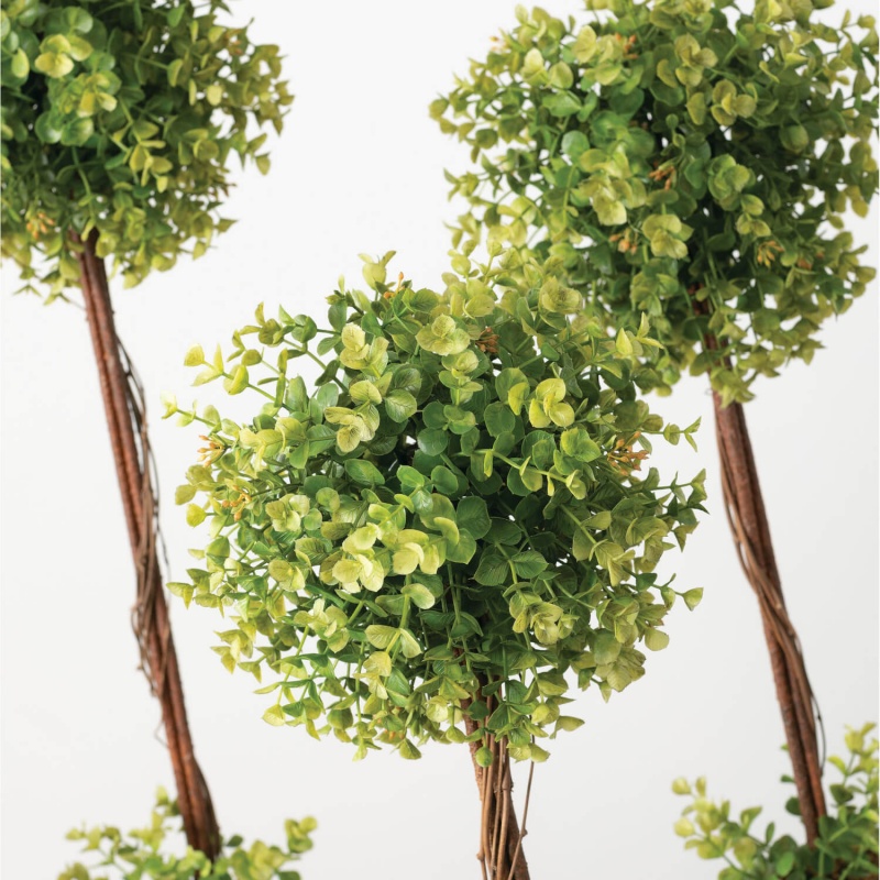 New England Boxwood Topiary