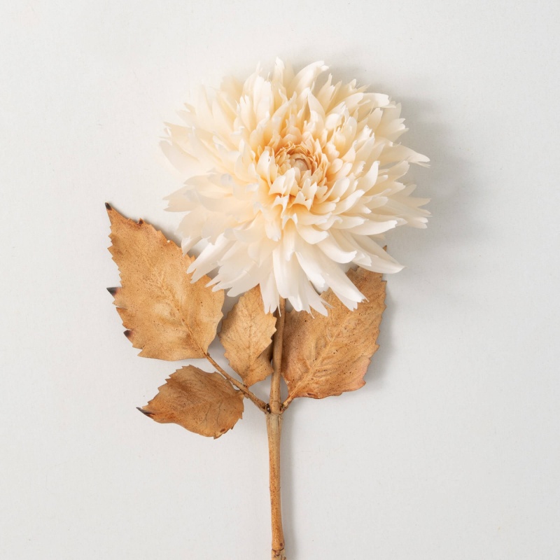Blossoming Cream Dahlia Stem