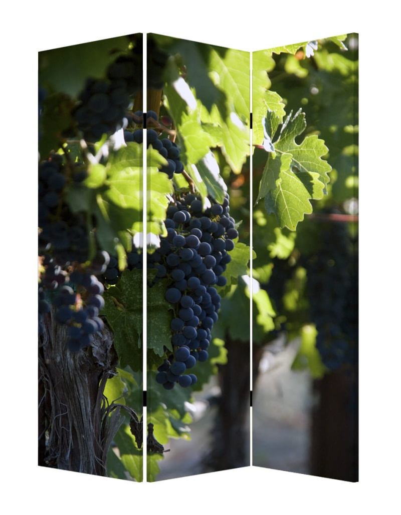 48" X 72" Multi Color Wood Canvas Wine Country Screen