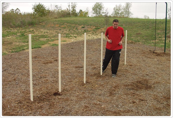 SportsPlay's Agility Poles: Galvanized - Playground Equipment