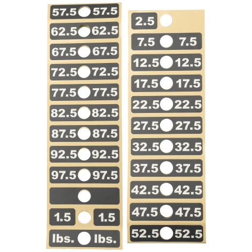 Lifefitness Weight Stack Labels, 97.5 Lbs, Lifefitness Dual Adj Pulley Cmdap