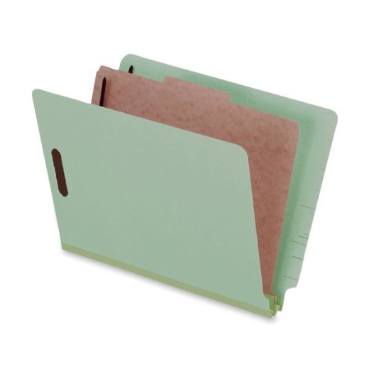 Pendaflex Pressboard Classification Folders With Dividers, 8 1/2" x 11", 1 Divider, 1 Partition, Light Green, Pack Of 10