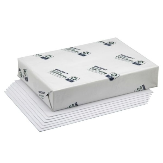Skilcraft Xerographic Copy Paper, White, Letter (8.5" X 11"), 5000 Sheets Per Case, 20 Lb, 92 Brightness, 50% Recycled (Abilityone 7530-01-398 2652)