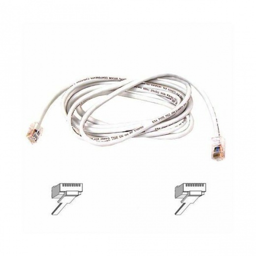 Belkin Cat6 Cable - High-Bandwidth Ethernet Patch Cable for Networking