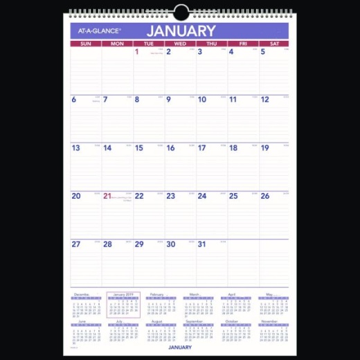 At-A-Glance Erasable Wall Calendar 2025