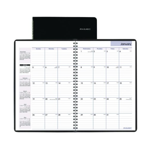 At-A-Glance Dayminder Monthly Planner, Ruled Blocks, 12 x 8, Black Cover, 14-Month: Dec 2024 to Jan 2026