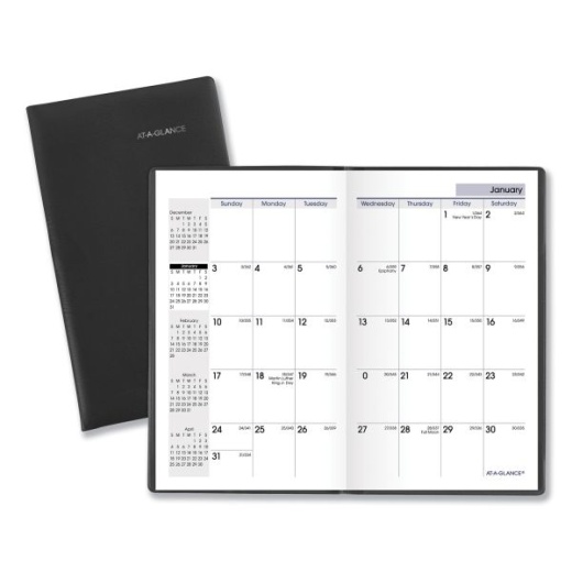 At-A-Glance Dayminder Pocket-Sized Monthly Planner
