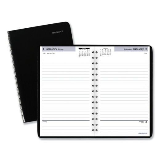 At-A-Glance Dayminder Daily Appointment Book - 2025 Planner
