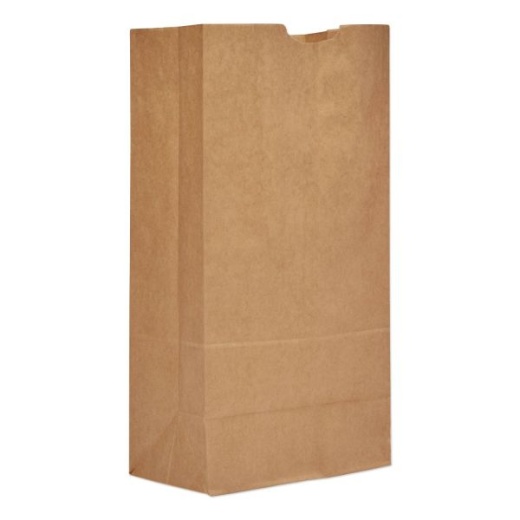 Ross & Wallace Paper Products Grocery Paper Bags, 20# Size, Extra-Heavy-Duty, 60# Basis Weight, 8.25" X 5.25" X 16.13", Kraft, 500/Bundle