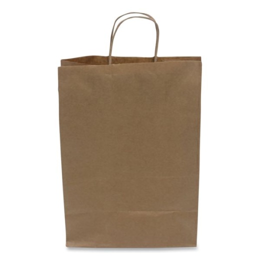Kari-Out Kraft Paper Bags, Rope Handles, 10" X 6" X 13", Kraft, 250/Carton