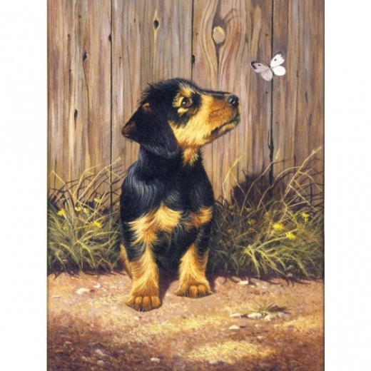 Junior Small Paint By Number Kit 8.75"X11.75"