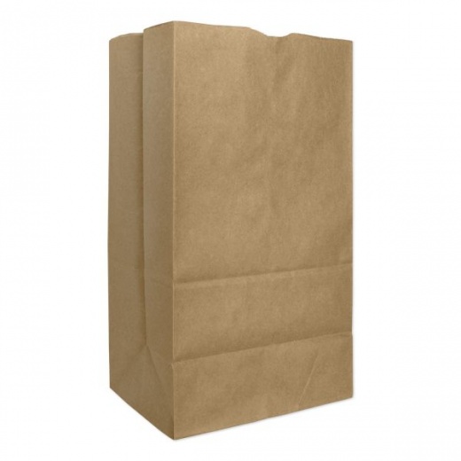 Ross & Wallace Paper Products Grocery Paper Bags, 25# Squat Size, Extra-Heavy-Duty, 60# Basis Weight, 8.25" X 5.25" X 16.13", Kraft, 500/Bundle