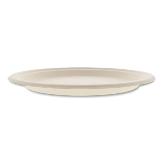 Chinet Paper Dinnerware, Plate, 10.5 dia, White, 500/Carton