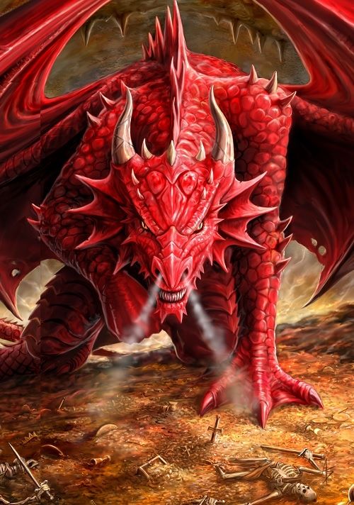 Dragon's Lair Card 6 Pack by Anne Stokes