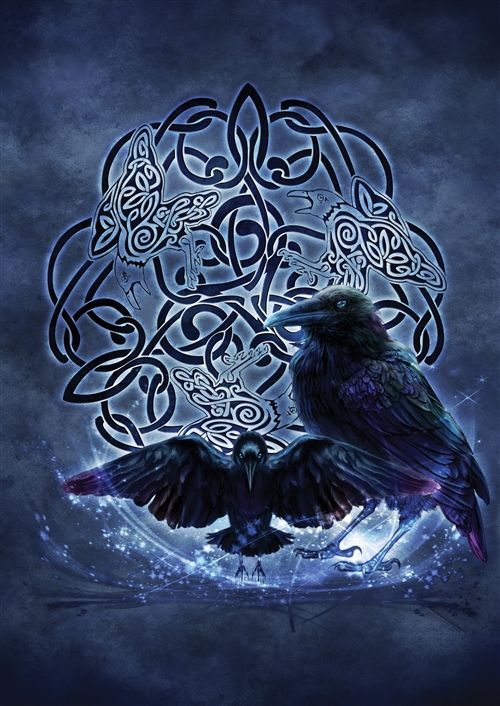 Celtic Raven Cards - 6 Pack