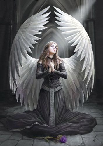 Prayer For The Fallen - 6 Pack