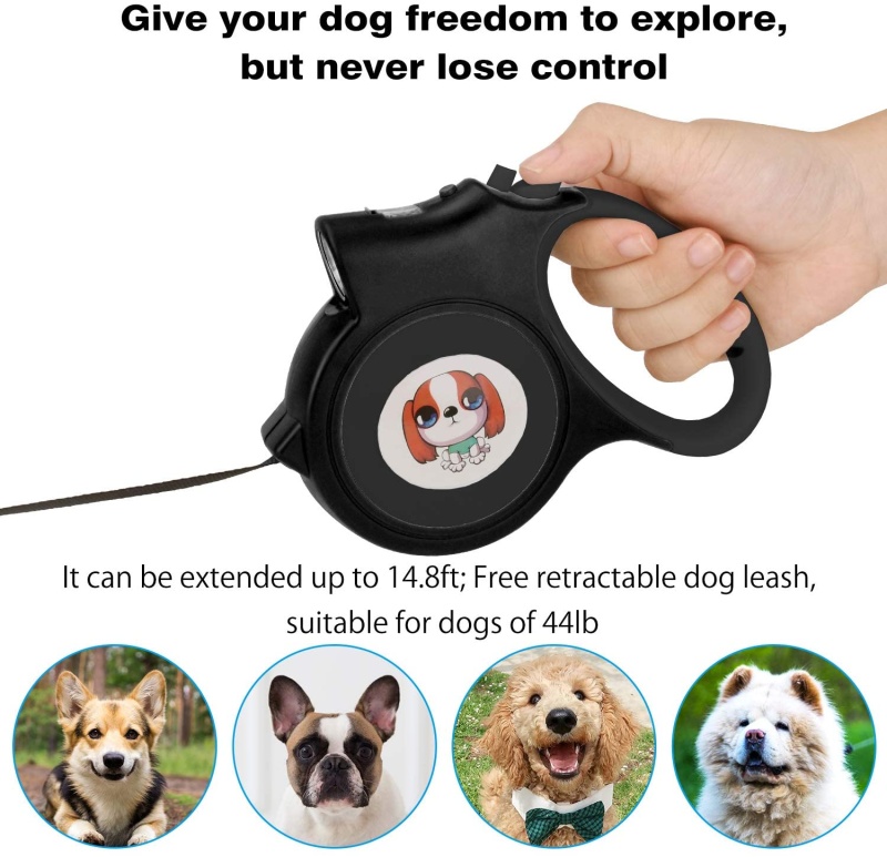 Led Lighted Retractable Nylon Dog Leash - Blue Color One Color Size One Size