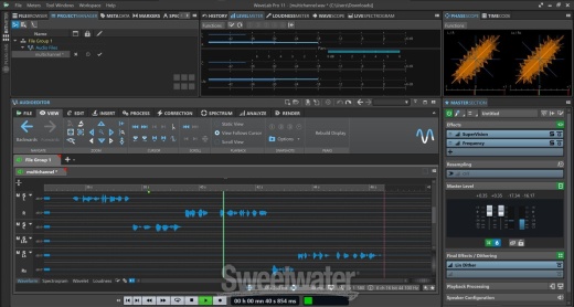 Steinberg Wavelab Pro 11.2 Mastering Software Suite - Upgrade From