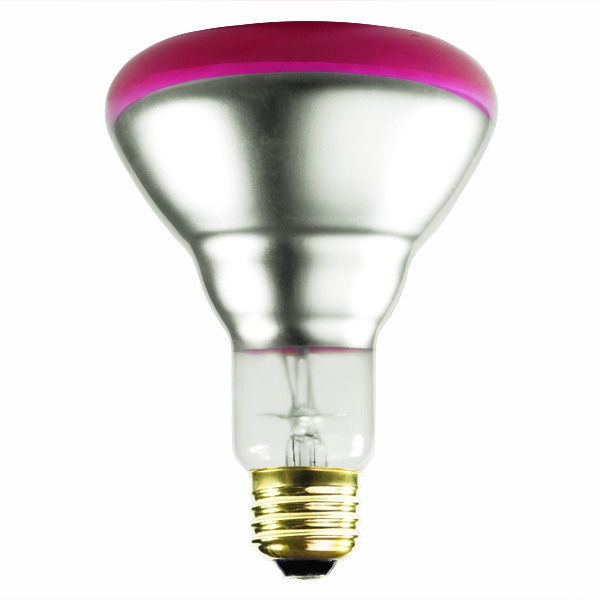 75 Watt - Br30 Light Bulb - Pink