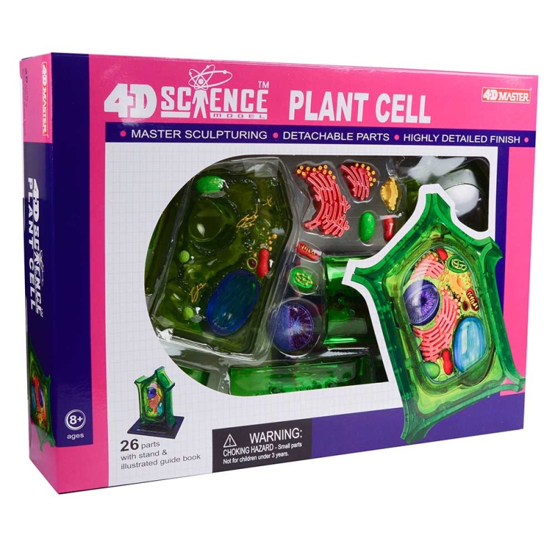 4D Science Plant Cell