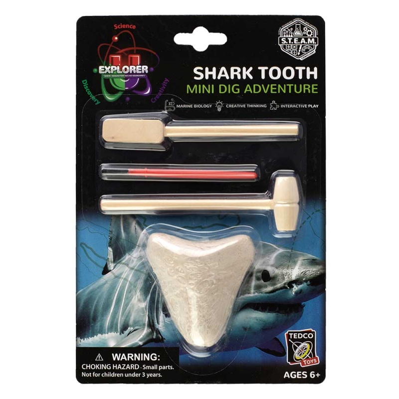 Shark Teeth Dig