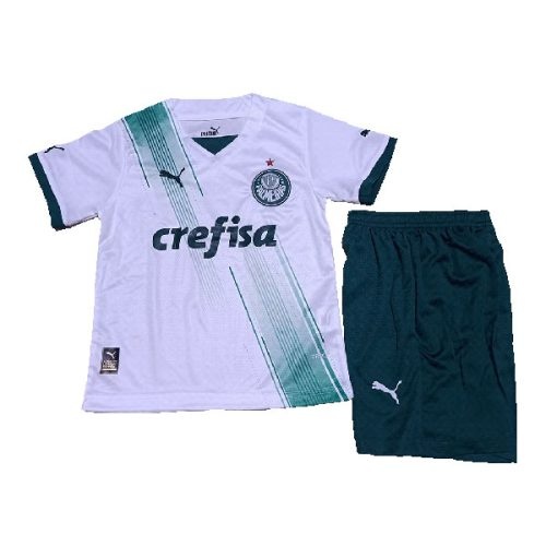 Kids 2023-2024 Palmeiras Away Soccer Kit, Size: 16