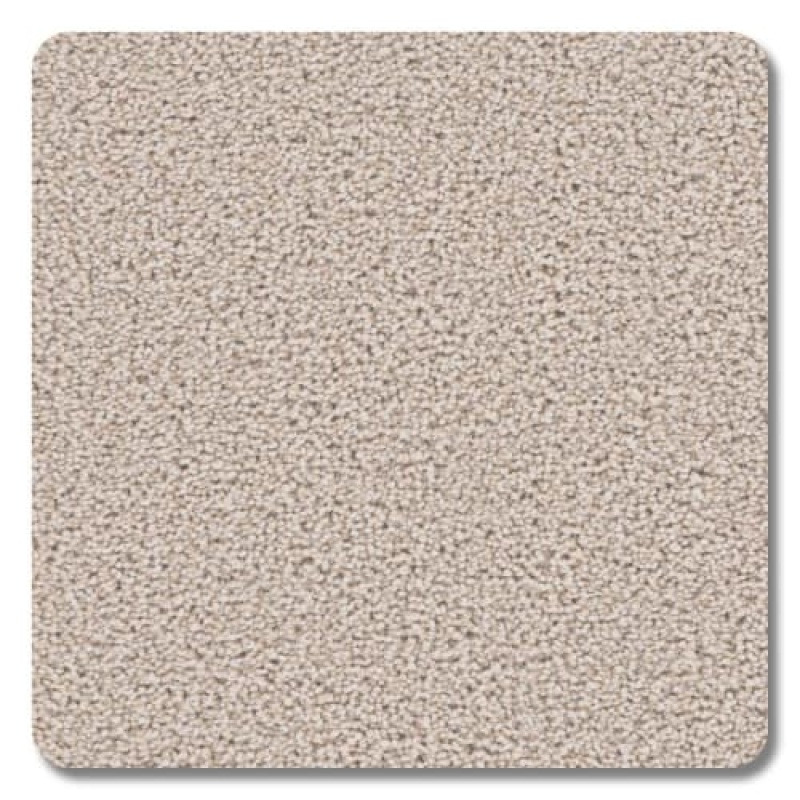 Riverbend Alabaster Polyester Carpet - Textured