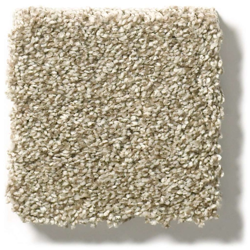 Pet Perfect Plus Just A Hint I Khaki Polyester Carpet - Textured