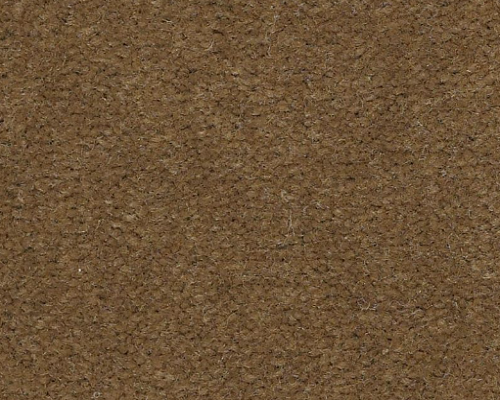Emphatic Ii 36 Cajun Nylon Carpet - Textured