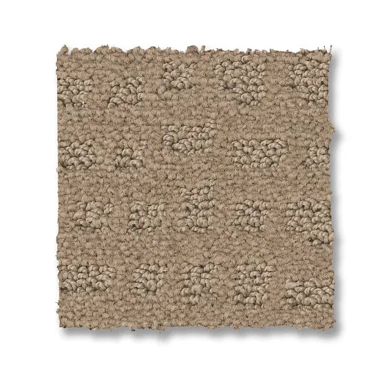 Reawaken Solstice Beach Grass Nylon Carpet - Loop