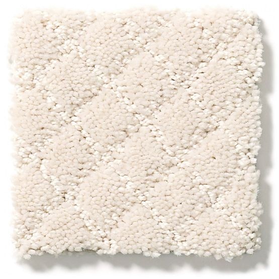 Pet Perfect Pawnache Barely Beige Nylon Carpet - Pattern