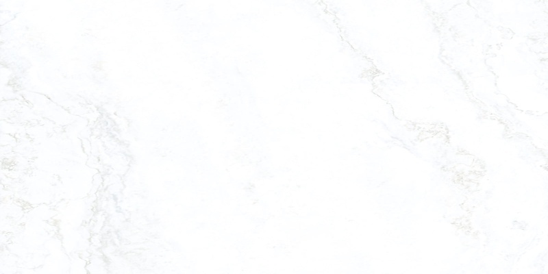Urbe White Gray Porcelain Paver - Matte - 24" X 48"