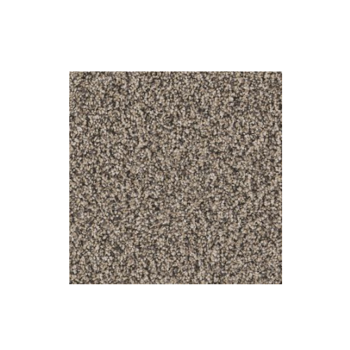 Artistic Fusion I Sea Shell Polyester Carpet - Textured
