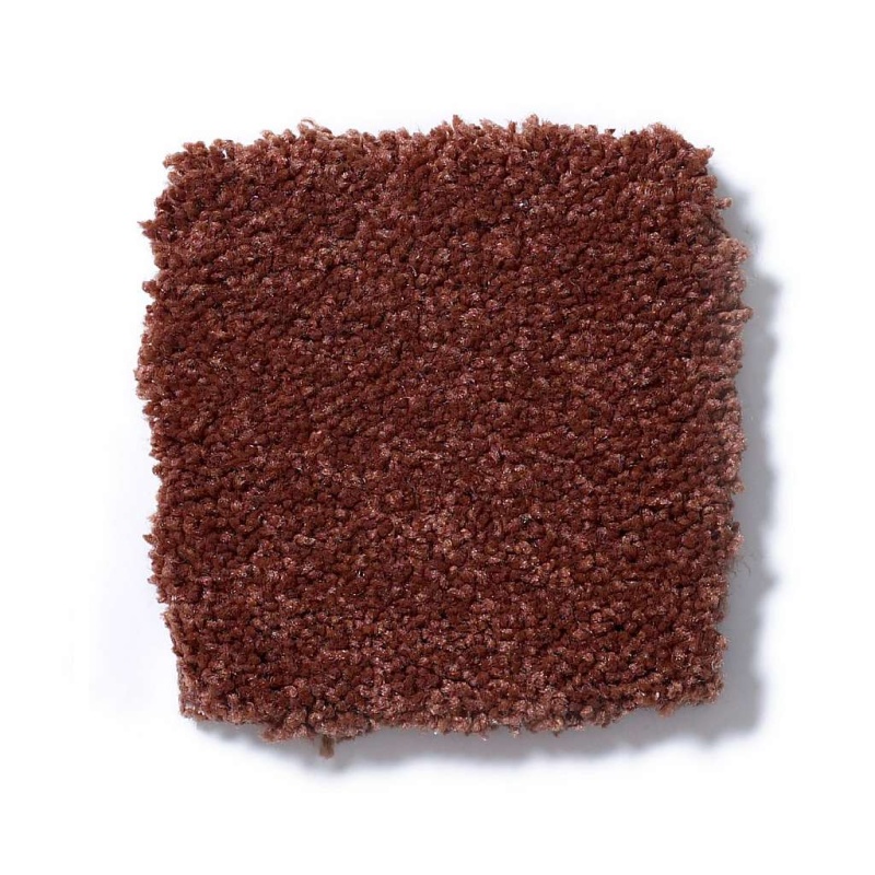 Magic At Last Ii 15' Spice Nylon Carpet - Textured