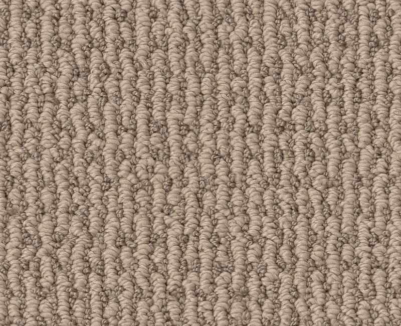 Cunning Choice Beige Bisque Polyester Carpet - Textured