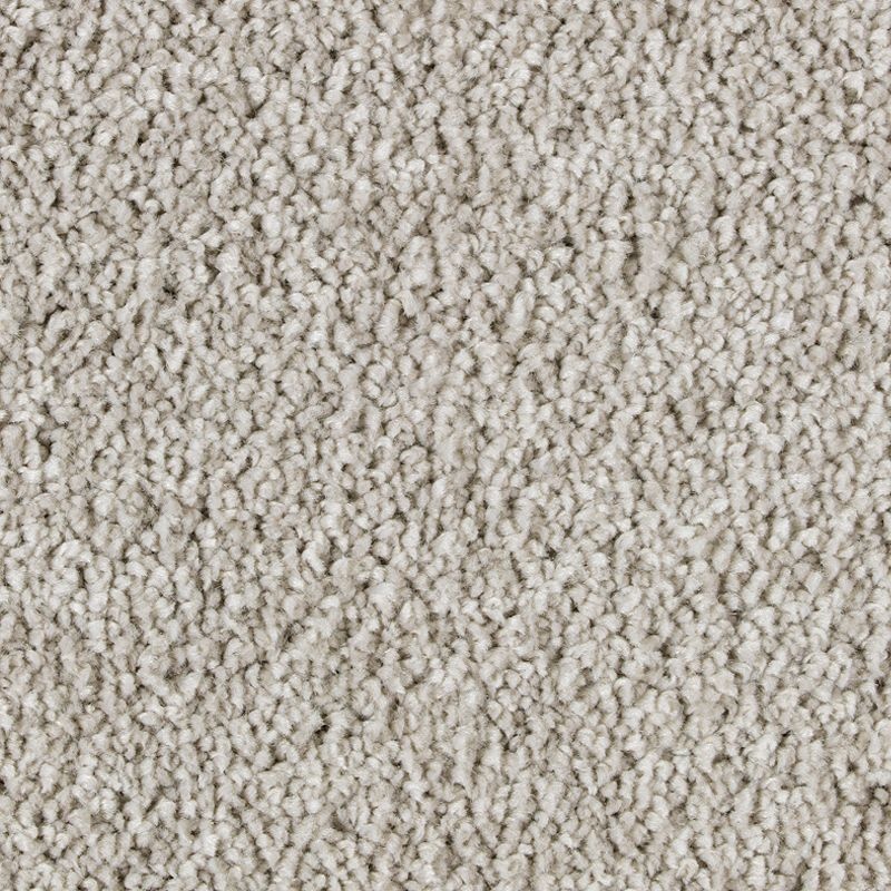 Exquisite Attraction Windsor Castle Triexta Carpet - Textured
