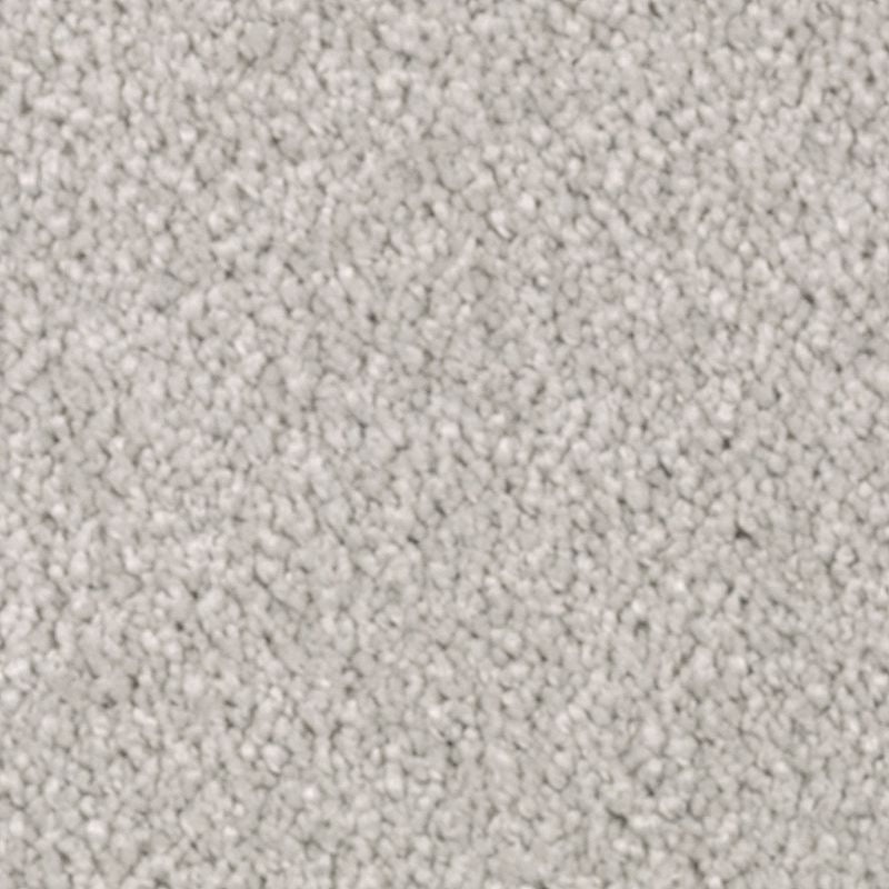 Natural Splendor Ii Raindrop Triexta Carpet - Textured