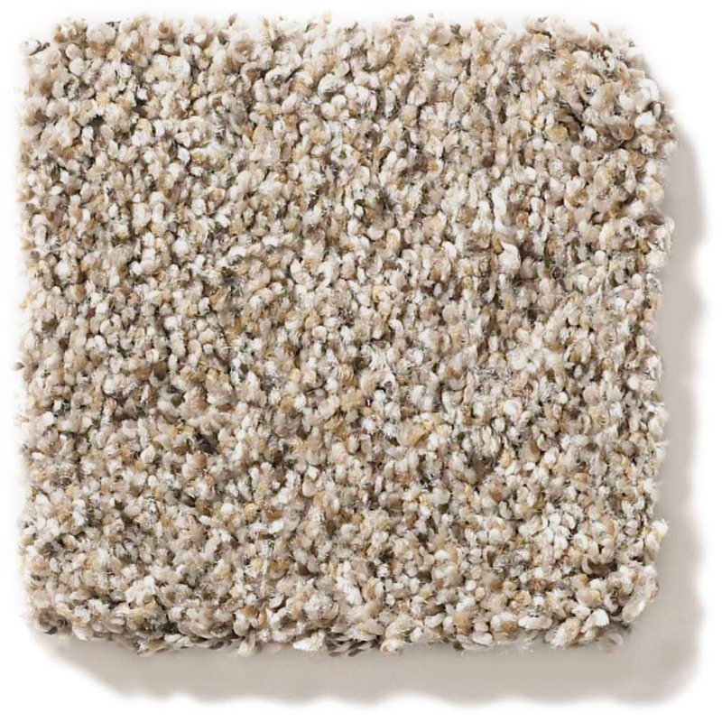 Foundations Elemental Mix III Acreage Nylon Carpet - Textured
