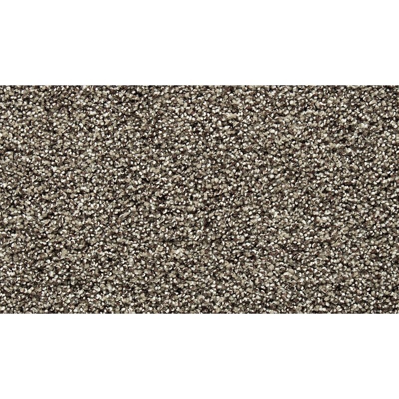 Natural Opulence Ii Taupe Delight Triexta Carpet - Textured