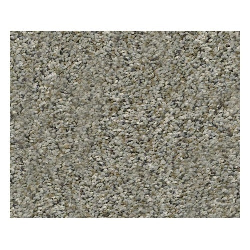 Temescal Beach Walk Polyester Carpet - Textured