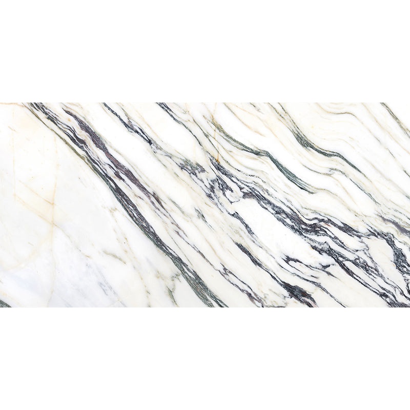 Imperial Syros Green Porcelain Tile - Polished - 24" X 48"