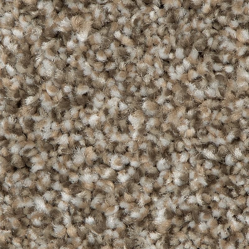 Sp966 Quiet Neutral Polyester Carpet - Textured - Full Roll
