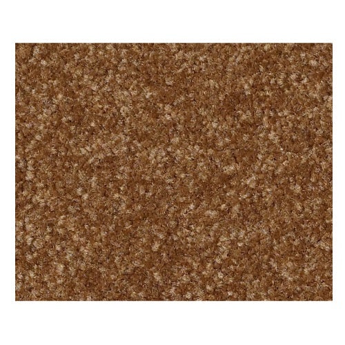 Qs233 I 12' Brass Button Nylon Carpet - Textured
