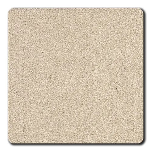 Denali Coastal Polyester Carpet - Textured