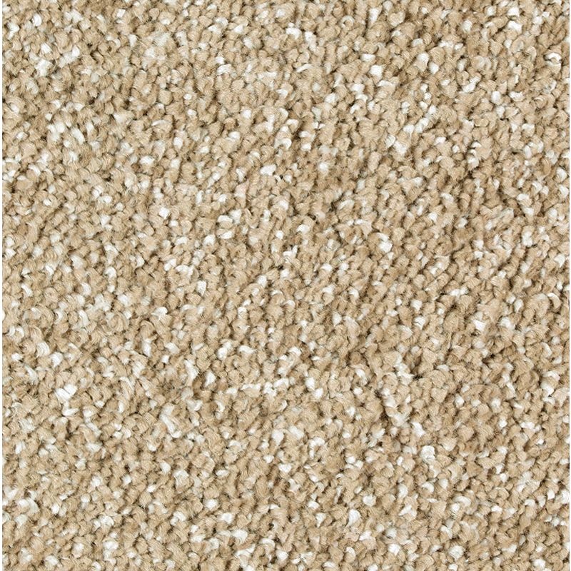 Exquisite Shades Timeless Triexta Carpet - Textured