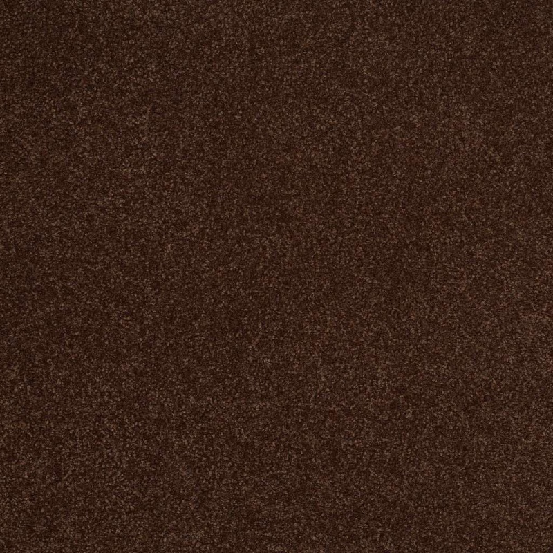 Magic At Last Iii 12' Fudge Brownie Nylon Carpet - Textured